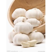 Hot sale normal white garlic 3cm/4.5cm/5cm and up